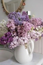 Load image into Gallery viewer, Baby Breath Bush Artificial Silk Flowers - Cream
