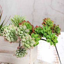 Load image into Gallery viewer, Set of 3 | 12" Assorted Artificial Succulent Plants Echeveria Long Stem Air Plants