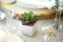 Load image into Gallery viewer, Set of 3 | 4" Assorted Echeveria Artificial Plants with Pots