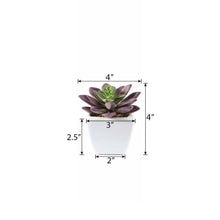 Load image into Gallery viewer, Set of 3 | 4'' Assorted Echeveria Artificial Plants with Pots