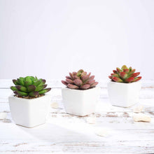 Load image into Gallery viewer, Set of 3 | 3'' Assorted Mini Echeveria Artificial Plants with Pots