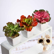 Load image into Gallery viewer, Set of 3 | 6'' Assorted Echeveria Artificial Plants with Pots