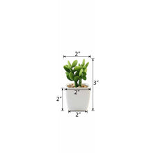Load image into Gallery viewer, Set of 3 | 3'' Assorted Green Mini Artificial Plants with Pots