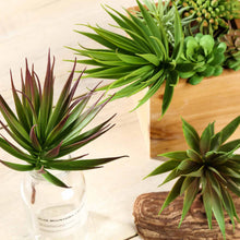 Load image into Gallery viewer, Set of 3 | 8" Aloe Cactus Decorative Artificial Plants