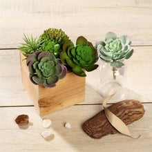 Load image into Gallery viewer, Set of 3 | 6" Echeveria Stem Decorative Artificial Plants