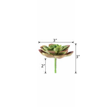 Load image into Gallery viewer, Set of 3 | 3" Echeveria Orion Decorative Artificial Plants
