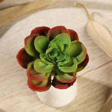 Load image into Gallery viewer, Set of 3 | 3" Echeveria Orion Decorative Artificial Plants