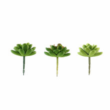 Load image into Gallery viewer, Set of 3 | 3" Roundleaf Echeveria Stems Decorative Artificial Plants