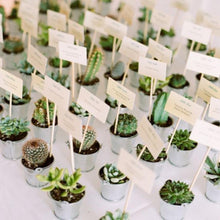 Load image into Gallery viewer, Set of 3 | 4" Assorted Echeveria Artificial Plants with Pots