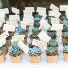 Load image into Gallery viewer, Set of 3 | 8" Assorted Spiky Crassula Artificial Plants with Pots
