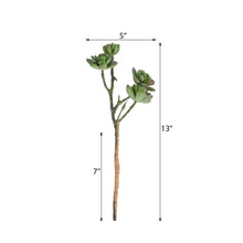 Load image into Gallery viewer, Set of 3 | 13" Assorted Artificial Succulent Plants Echeveria Long Stem Air Plants
