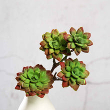 Load image into Gallery viewer, Set of 3 | 12" Assorted Artificial Succulent Plants Echeveria Long Stem Air Plants
