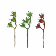 Load image into Gallery viewer, Set of 3 | 13" Assorted Artificial Succulent Plants Yucca Aloe Vera Long Stem Air Plants
