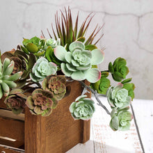 Load image into Gallery viewer, Set of 3 | 18" Assorted Artificial Succulent Plants Echeveria Long Stem Air Plants
