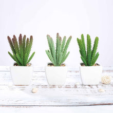 Load image into Gallery viewer, Set of 3 | 7" Assorted Cactus Artificial Plants with Pots
