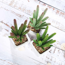 Load image into Gallery viewer, Set of 3 | 7" Assorted Cactus Artificial Plants with Pots
