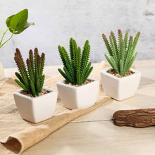 Load image into Gallery viewer, Set of 3 | 7" Assorted Cactus Artificial Plants with Pots
