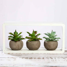 Load image into Gallery viewer, Set of 3 | 5" Assorted Aloe Varietal Artificial Plants with Pots
