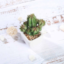 Load image into Gallery viewer, Set of 3 | 5" Assorted Cactus Artificial Plants with Pots
