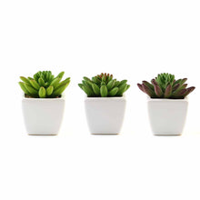 Load image into Gallery viewer, Set of 3 | 4'' Assorted Lotus Artificial Plants with Pots
