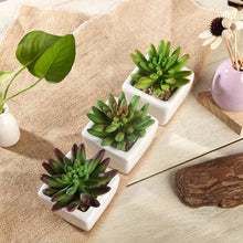 Load image into Gallery viewer, Set of 3 | 4'' Assorted Lotus Artificial Plants with Pots
