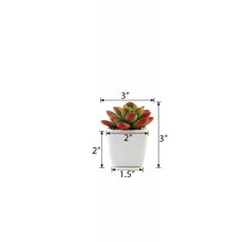 Load image into Gallery viewer, Set of 3 | 3'' Assorted Mini Echeveria Artificial Plants with Pots
