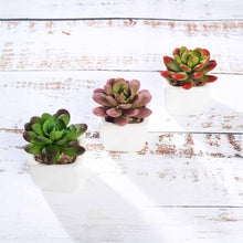 Load image into Gallery viewer, Set of 3 | 3'' Assorted Mini Echeveria Artificial Plants with Pots
