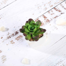 Load image into Gallery viewer, Set of 3 | 3'' Assorted Mini Echeveria Artificial Plants with Pots
