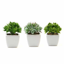 Load image into Gallery viewer, Set of 3 | 4'' Assorted Green Echeveria Artificial Plants with Pots
