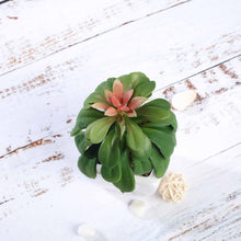 Load image into Gallery viewer, Set of 3 | 5'' Assorted Echeveria or Grape Artificial Plants with Pots
