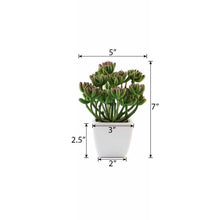 Load image into Gallery viewer, Set of 3 | 7'' Assorted Stonecrop Artificial Plants with Pots
