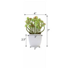 Load image into Gallery viewer, Set of 3 | 7'' Assorted Crassula Artificial Plants with Pots
