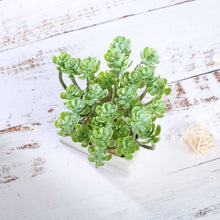 Load image into Gallery viewer, Set of 3 | 7'' Assorted Crassula Artificial Plants with Pots
