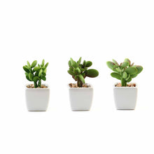 Load image into Gallery viewer, Set of 3 | 3'' Assorted Green Mini Artificial Plants with Pots
