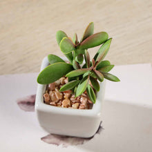 Load image into Gallery viewer, Set of 3 | 3'' Assorted Green Mini Artificial Plants with Pots
