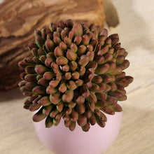 Load image into Gallery viewer, Set of 3 | 4" Mini Jelly Bean Decorative Artificial Plants
