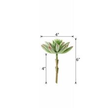 Load image into Gallery viewer, Set of 3 | 6" Spike Aeonium Decorative Artificial Plants
